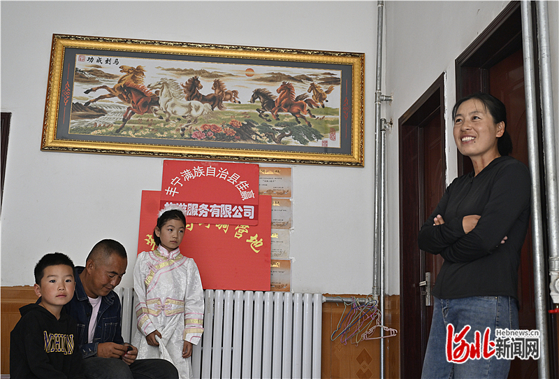 当地制定, entit, 马匹饲养 当地制定, entit, 马匹饲养